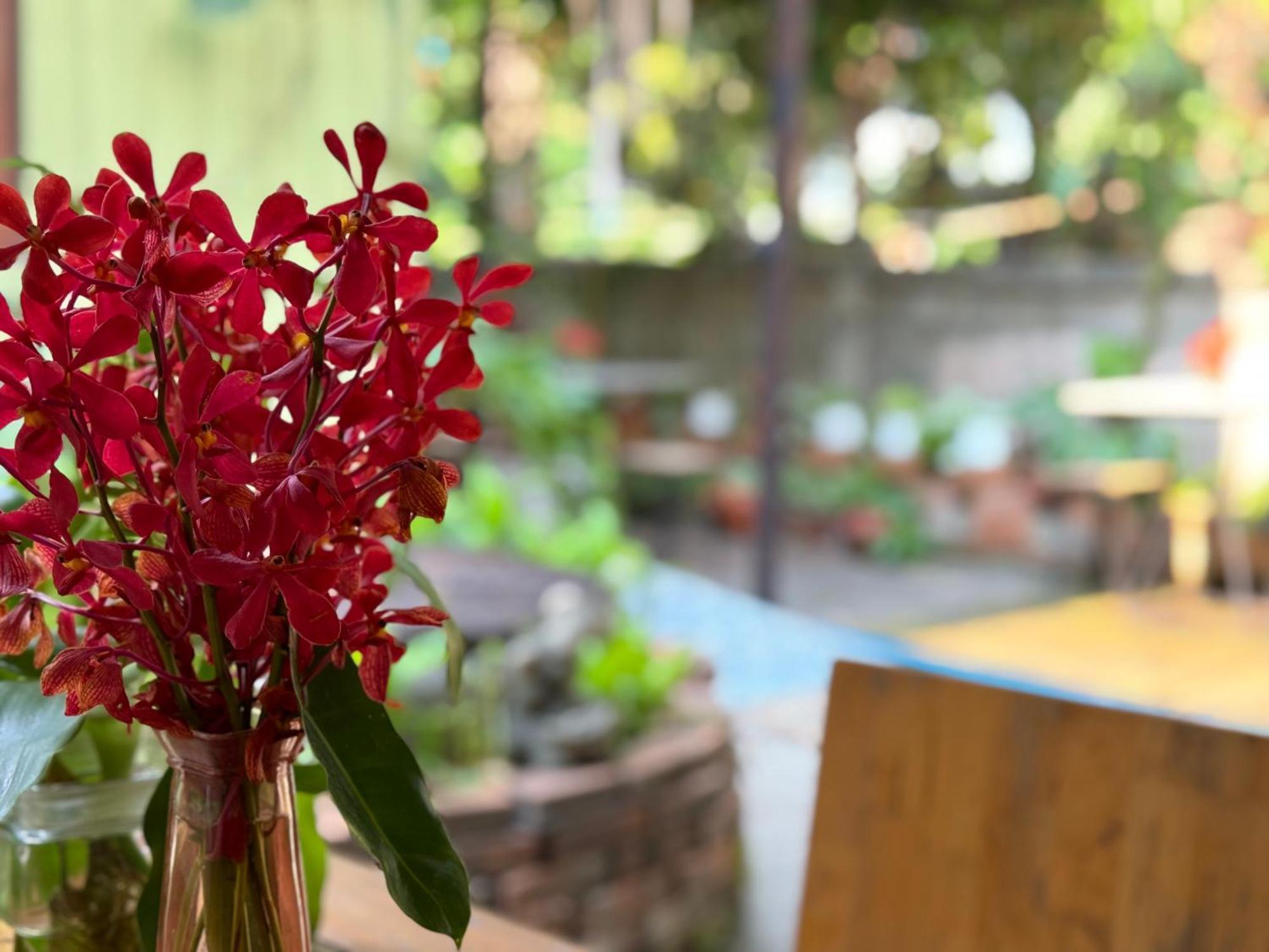 Retro At Phra Sing Guest House Chiang Mai Esterno foto